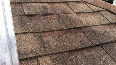 Exterior Mold and Mildew Treatment